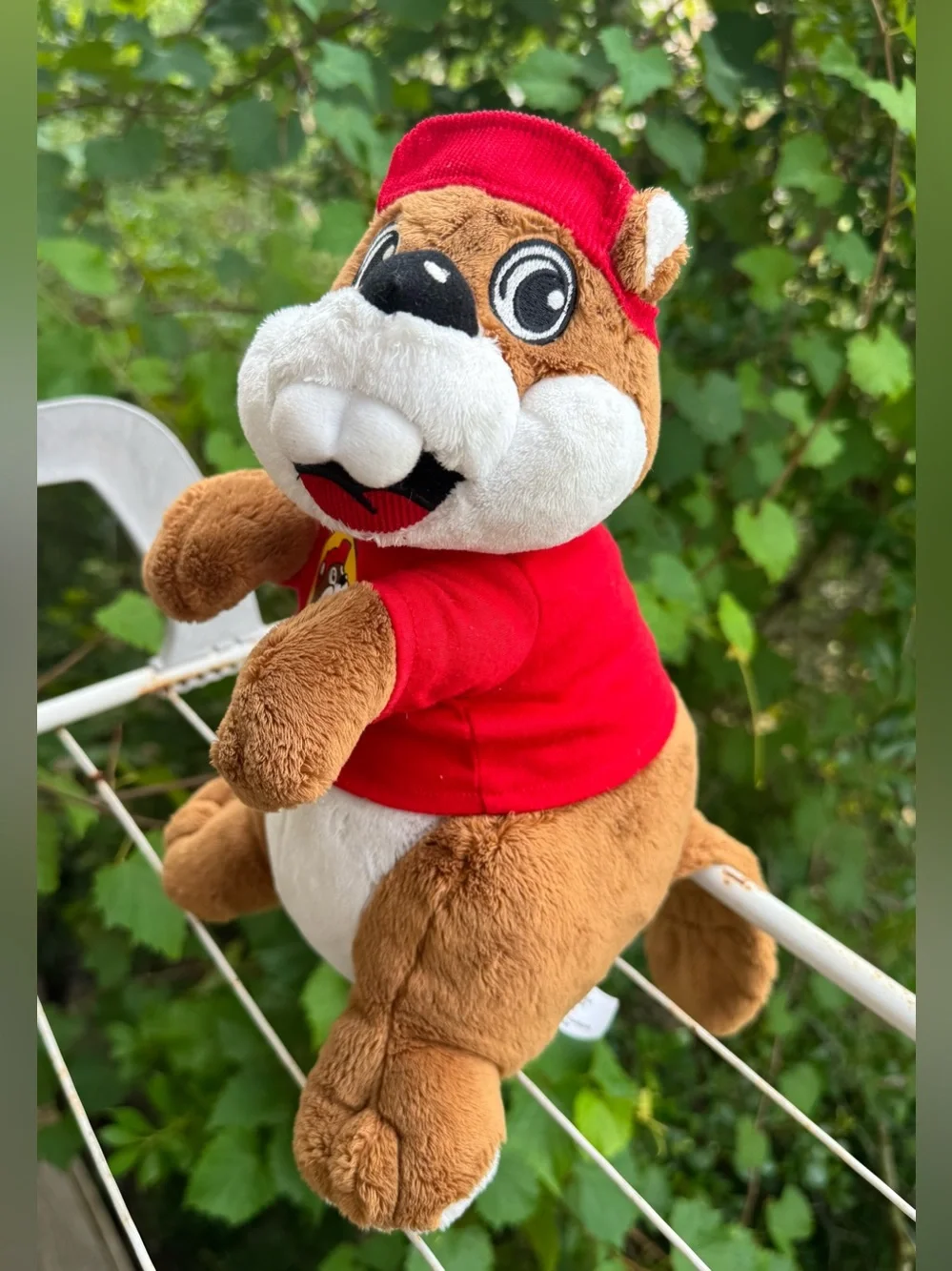 Buc-ees buc ee